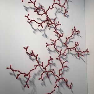 Meet your Posher, Adriana